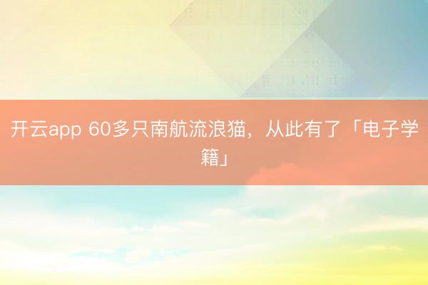 開云app 60多只南航流浪貓,從此有了「電子學(xué)籍」