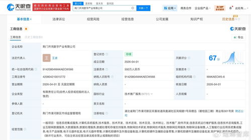 深開鴻落子荊門成立數(shù)字產(chǎn)業(yè)公司 注冊(cè)資本500萬聚焦信息系統(tǒng)集成服務(wù)